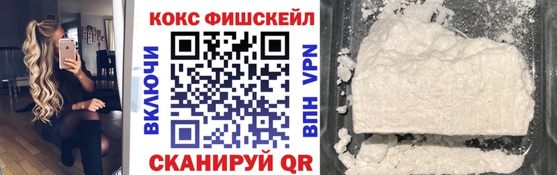 КОКАИН 99%  mega ТОР  Новодвинск  как найти закладки 