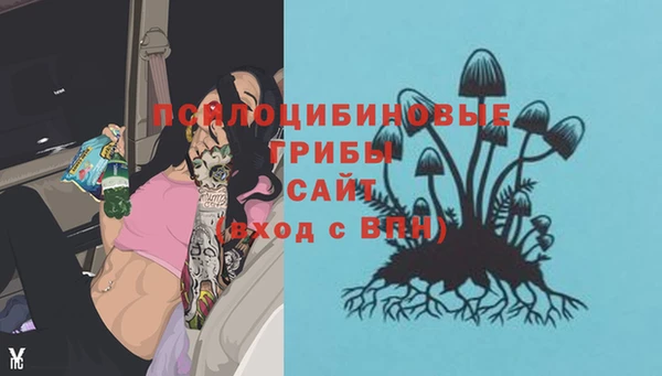 скорость Арсеньев