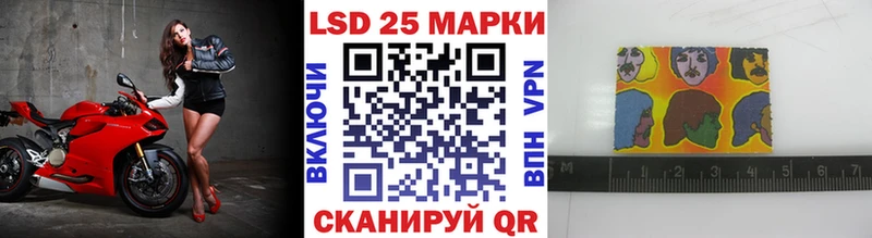 где купить   Новодвинск  ссылка на мегу как зайти  Наркотические марки 1,5мг 
