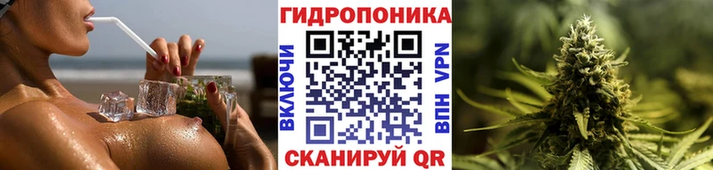 blacksprut ССЫЛКА  наркотики  Новодвинск  Шишки марихуана MAZAR 